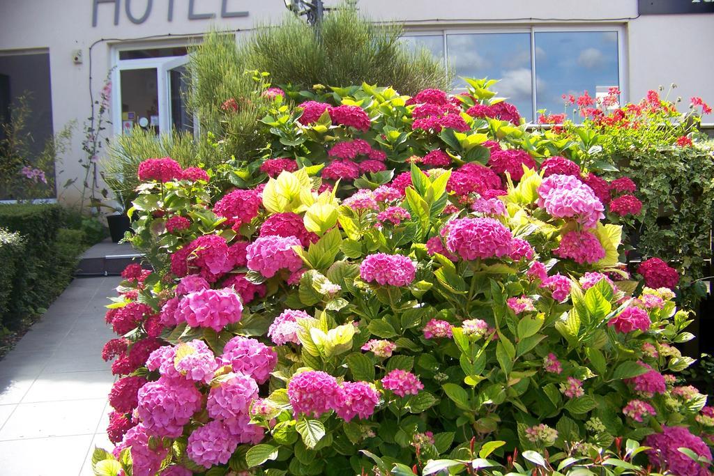 Hotel Bal Tournehem Exteriör bild